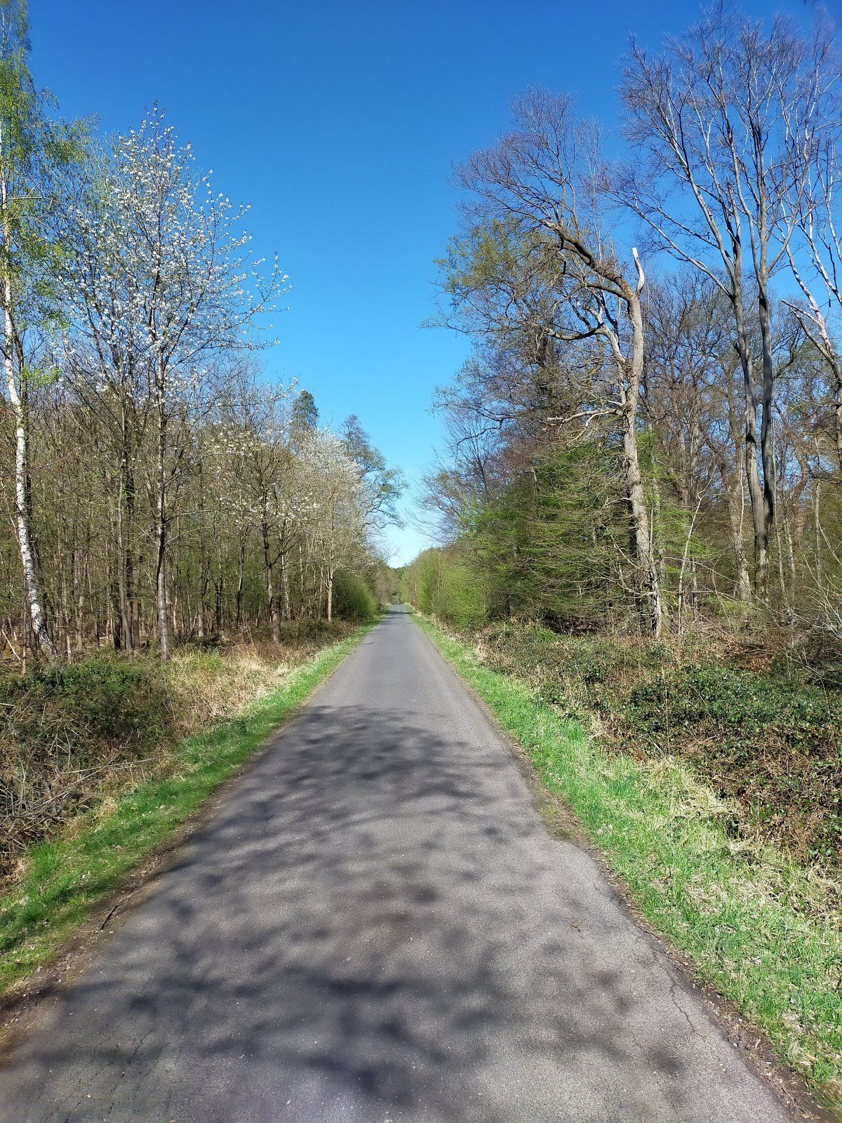 IMG20220416160627.jpg