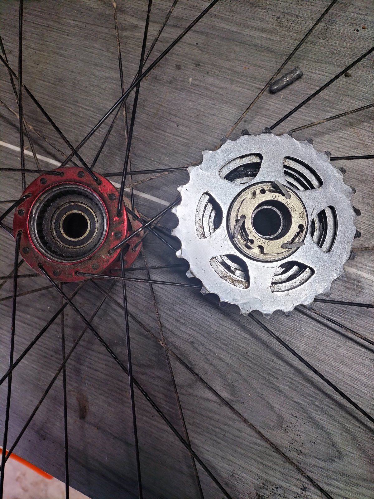 IMG20240113101610.jpg