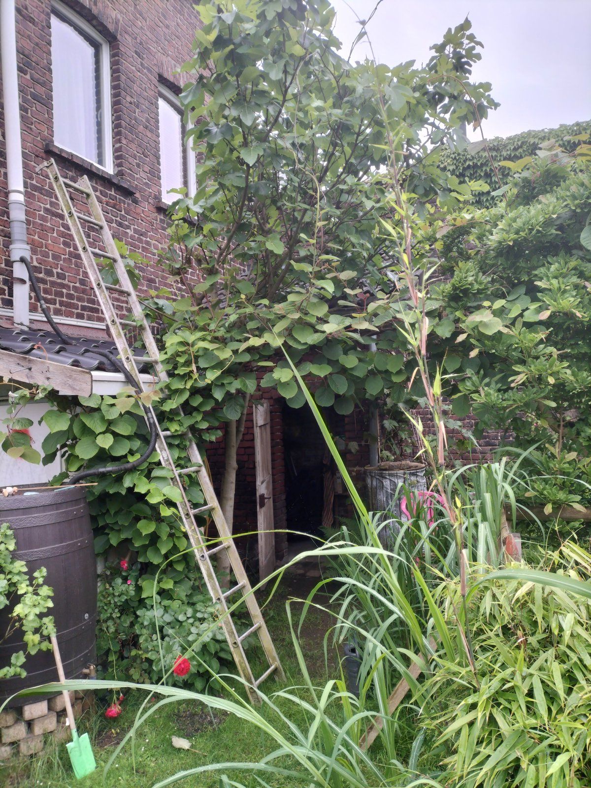 IMG20240525095205.jpg