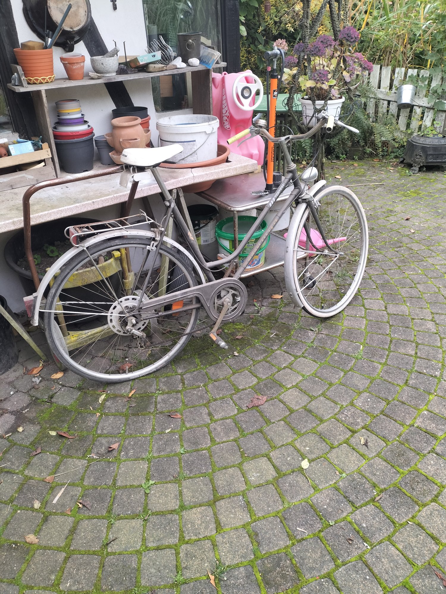 IMG20251012150955.jpg