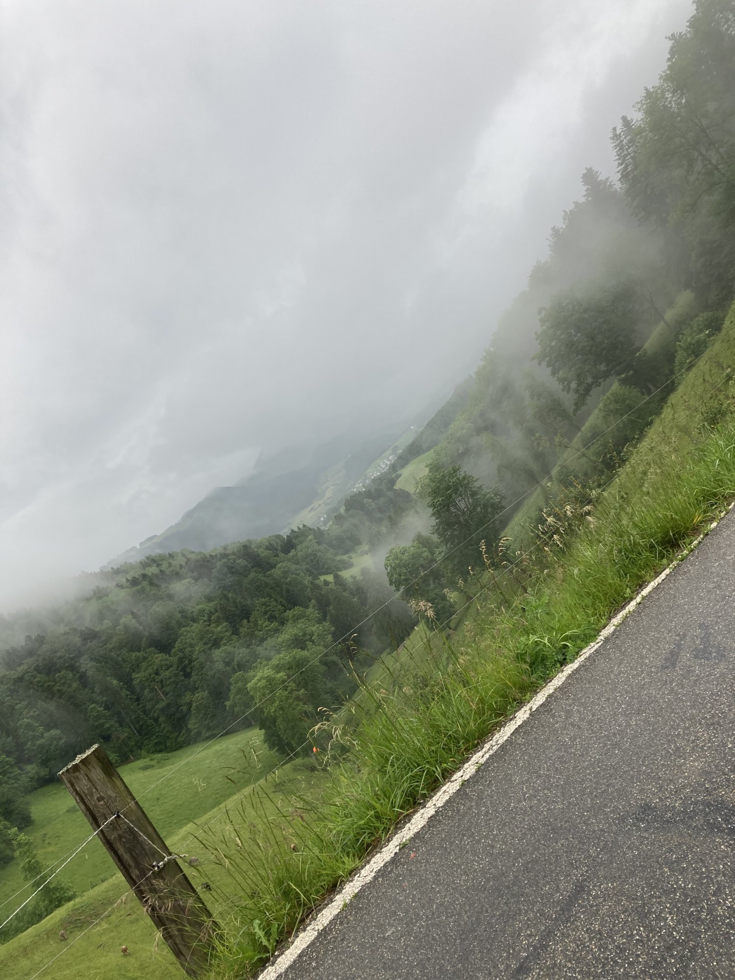 IMG_0082.jpeg