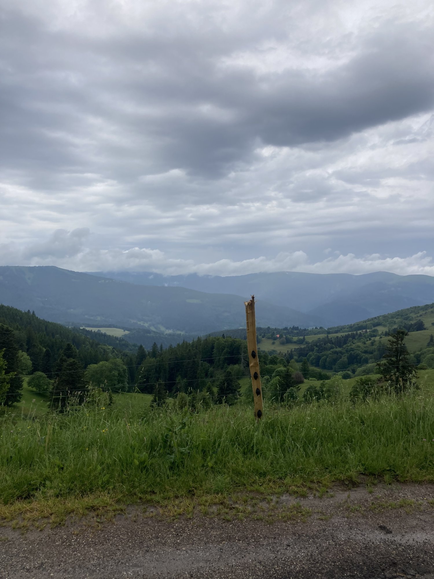 IMG_0102.jpeg