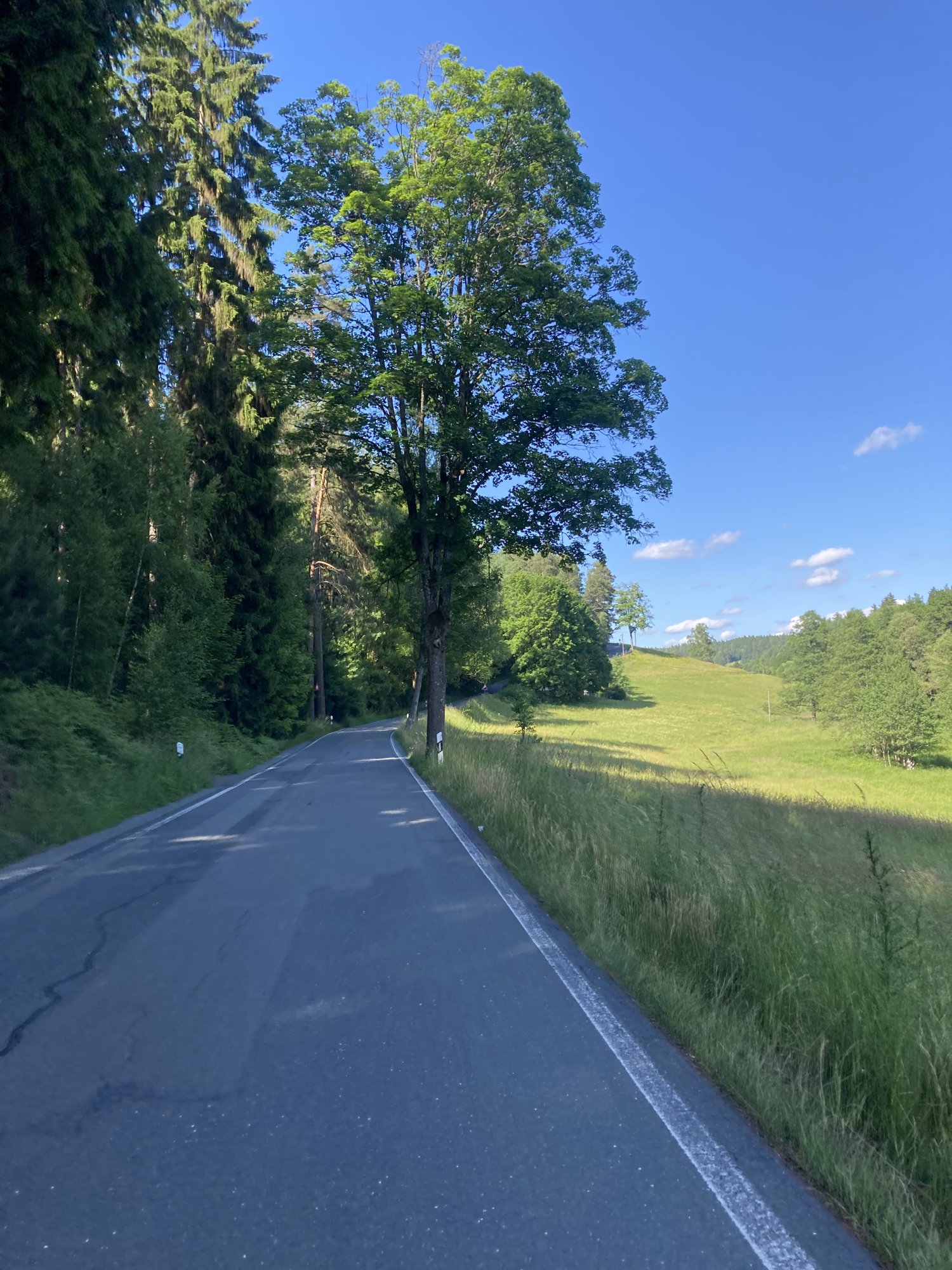 IMG_0171.jpeg