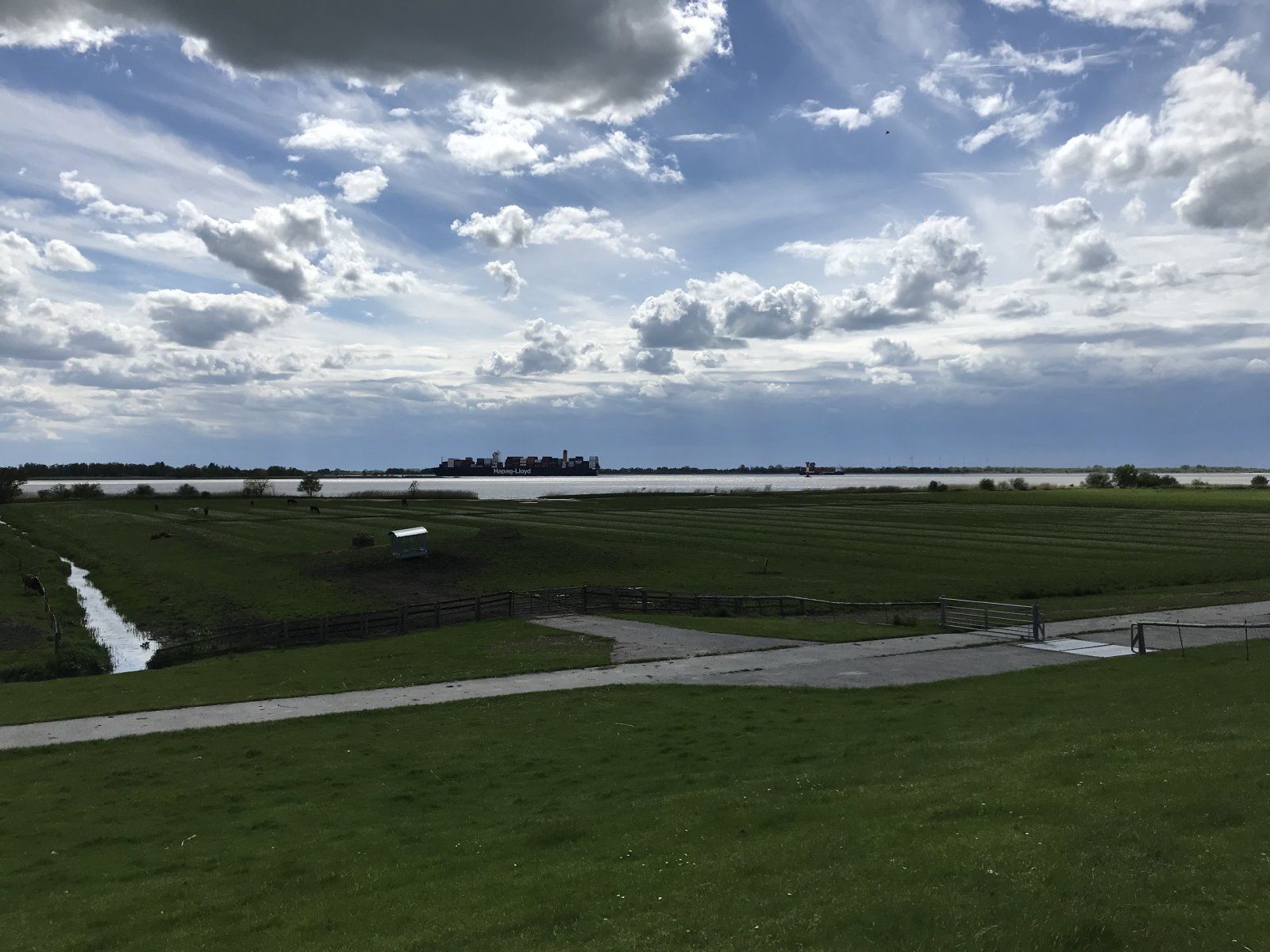 IMG_0179.jpeg