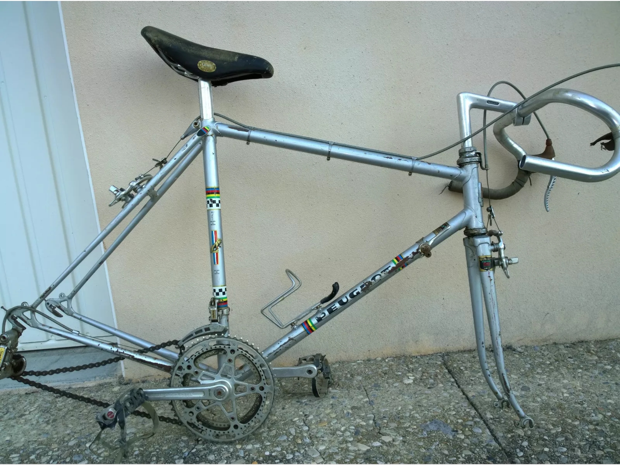 IMG_0195.PNG