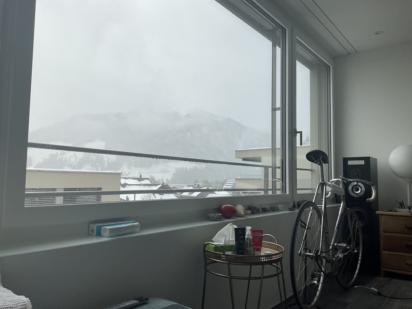 IMG_0199.jpeg
