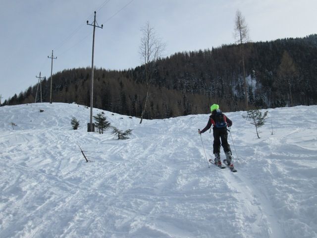 IMG_0202.jpg