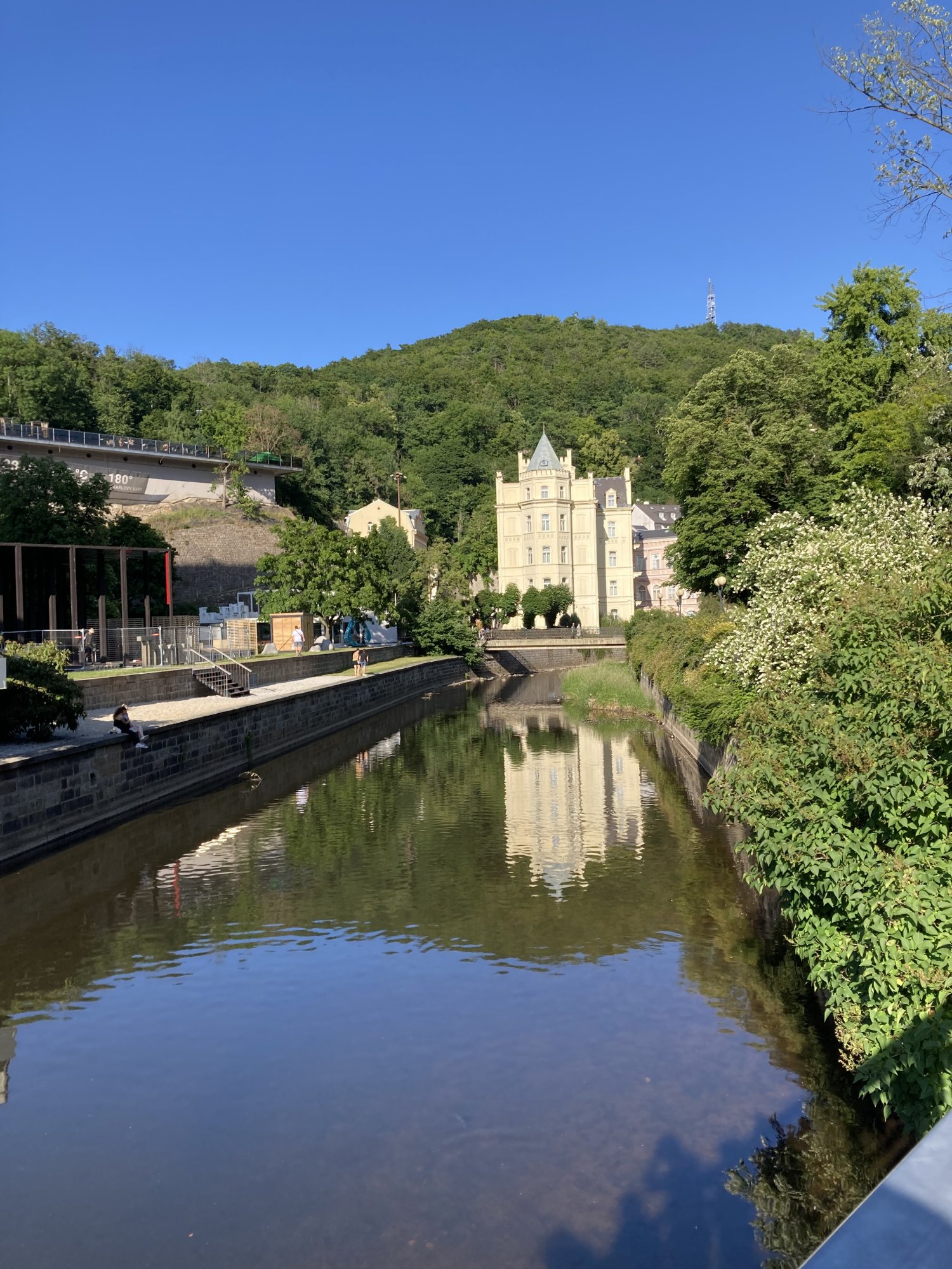 IMG_0213.jpeg