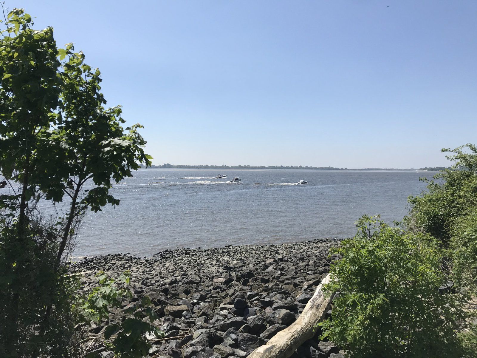 IMG_0222.jpeg
