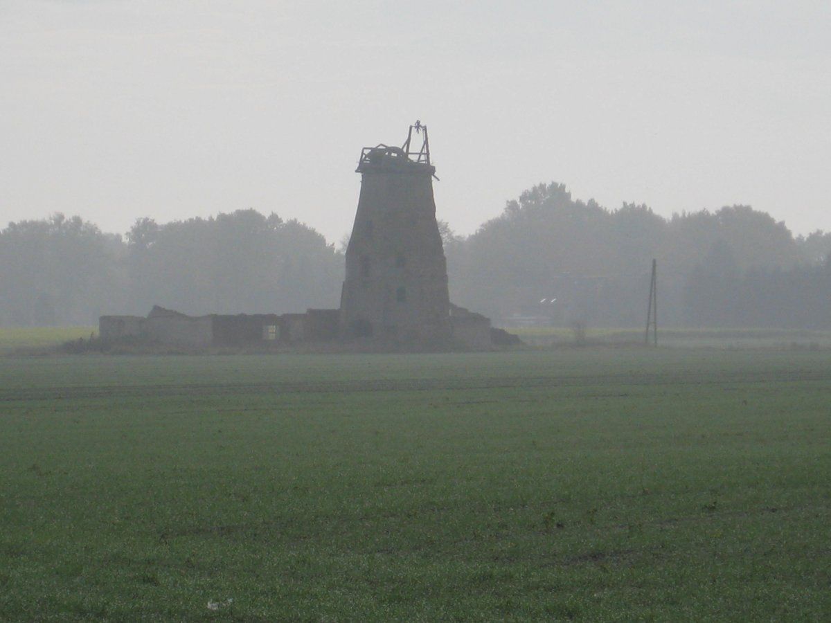 IMG_0391.JPG
