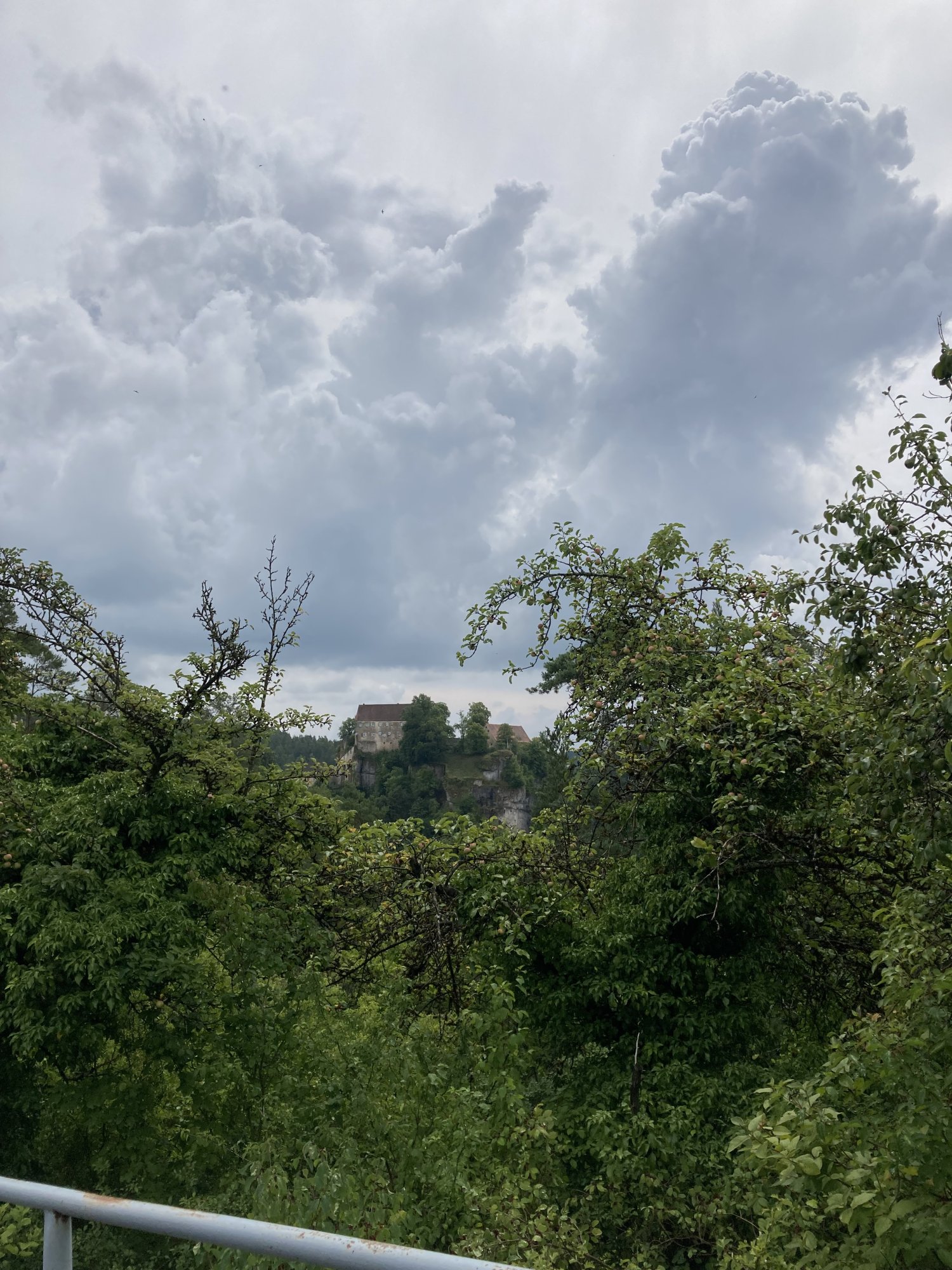 IMG_0422.jpeg