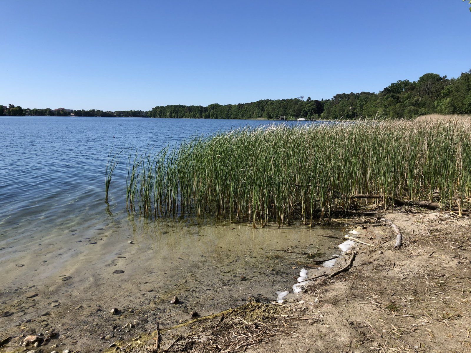 IMG_0424.jpeg