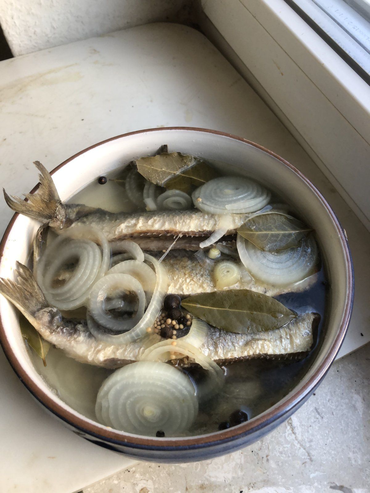 IMG_0441.jpeg