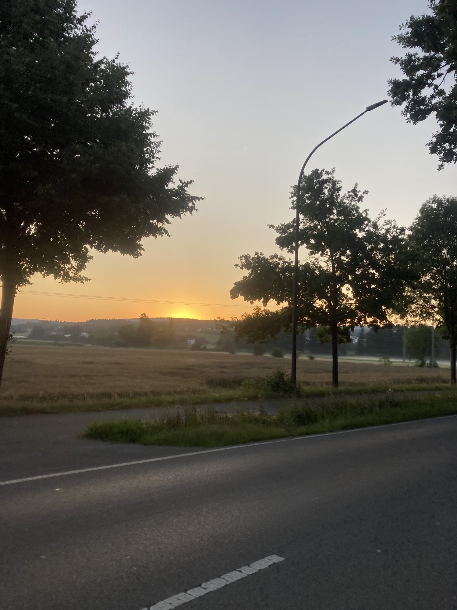 IMG_0479.jpeg