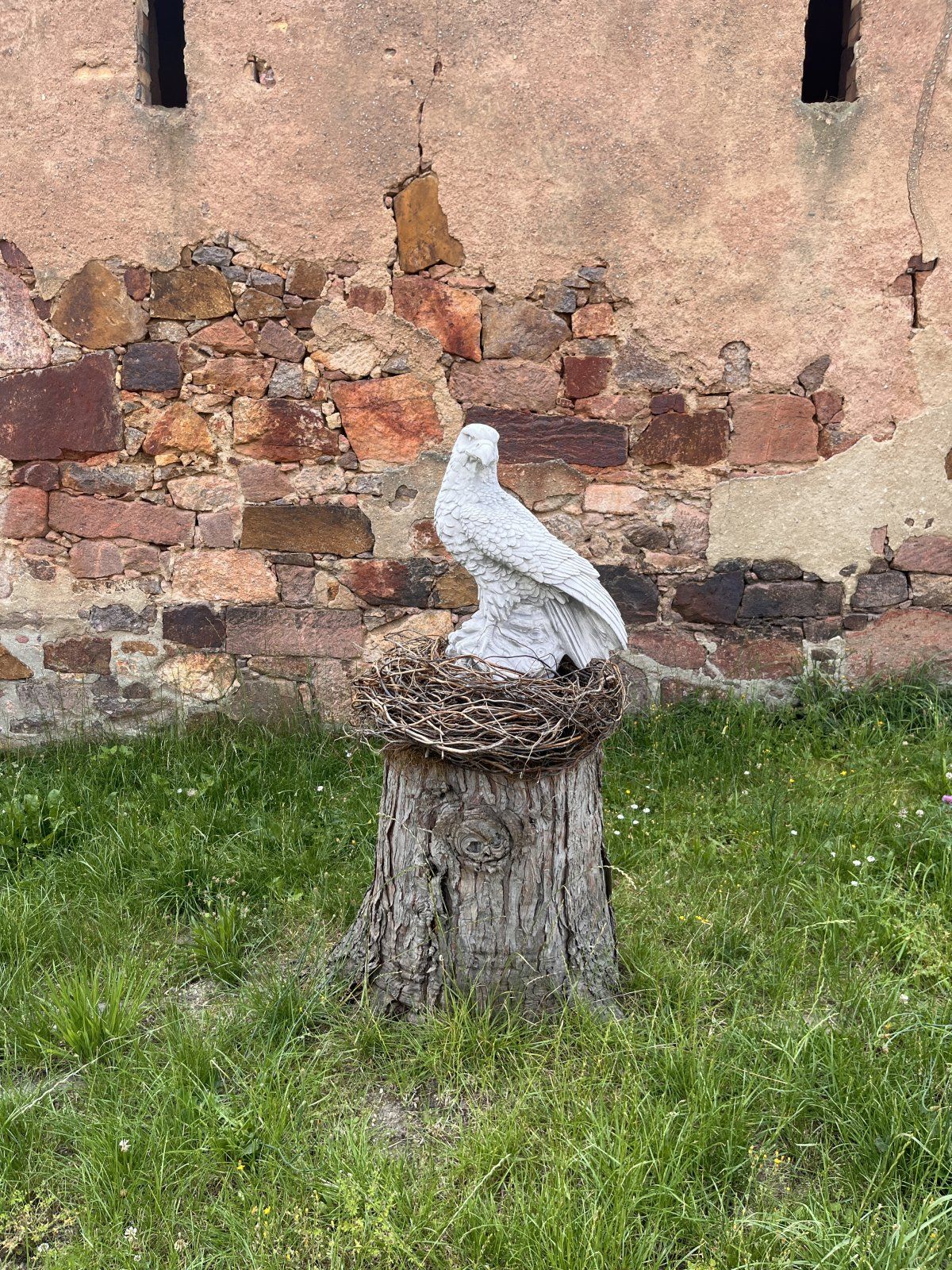 IMG_0717.jpeg