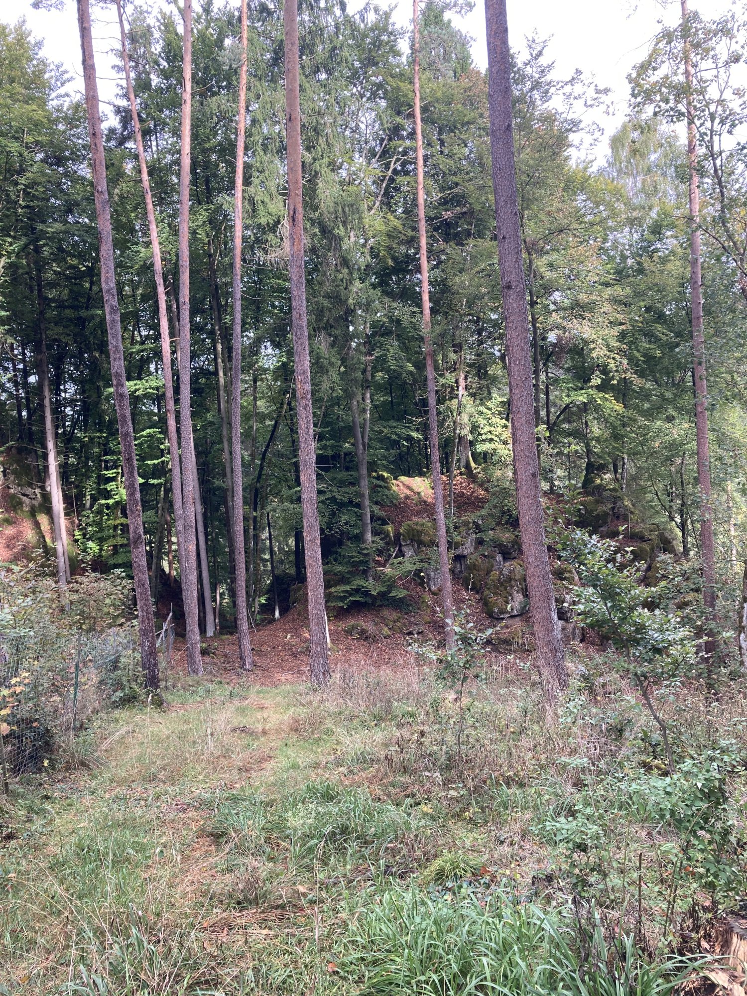 IMG_0813.jpeg