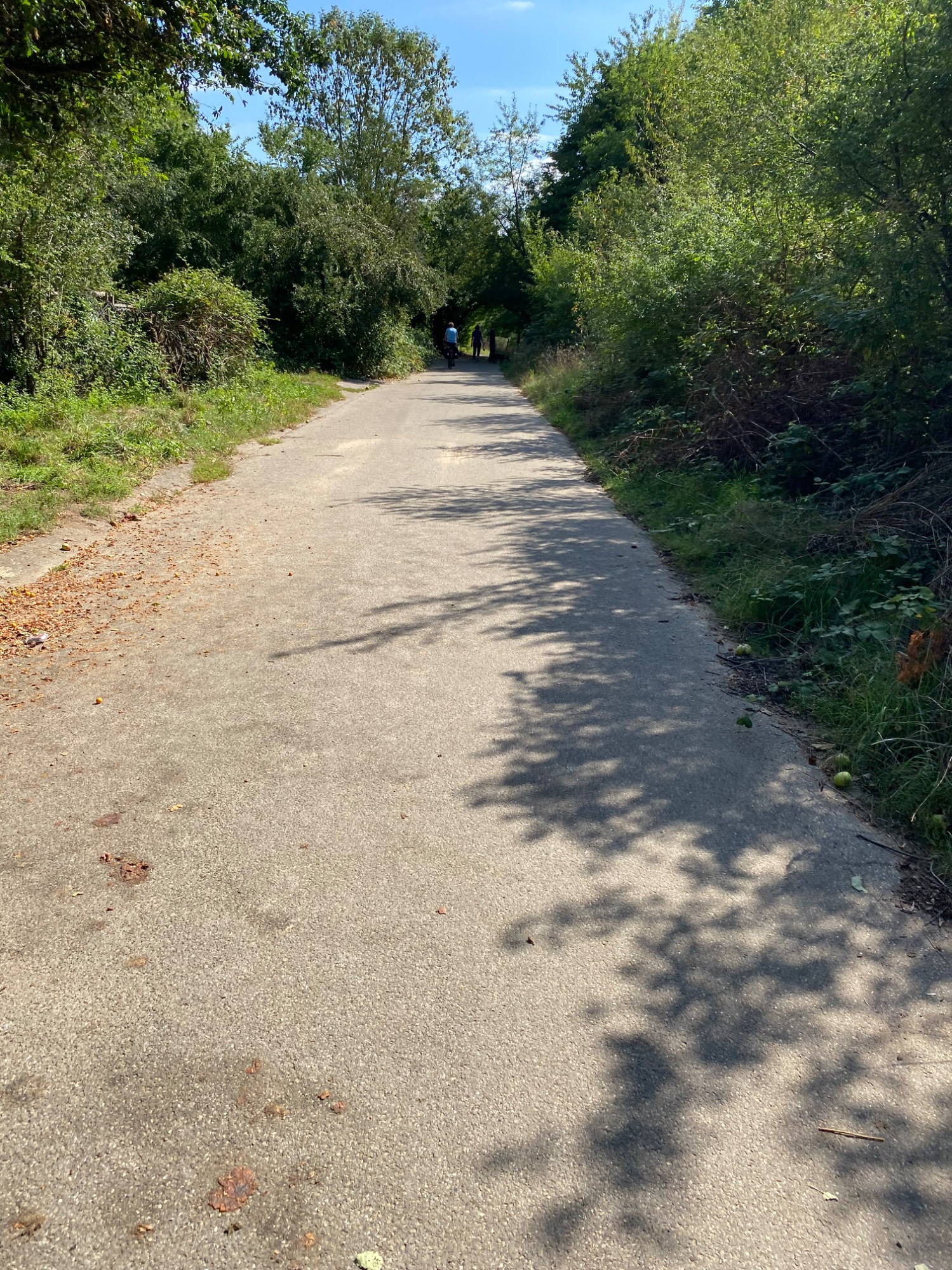 IMG_0921.jpeg