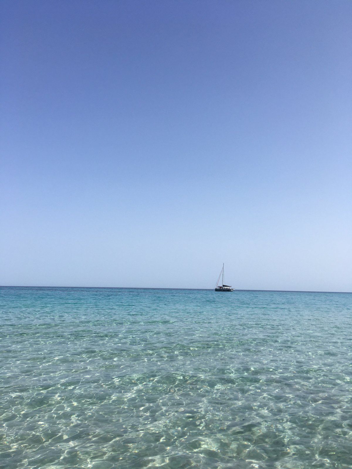 IMG_0937.jpeg