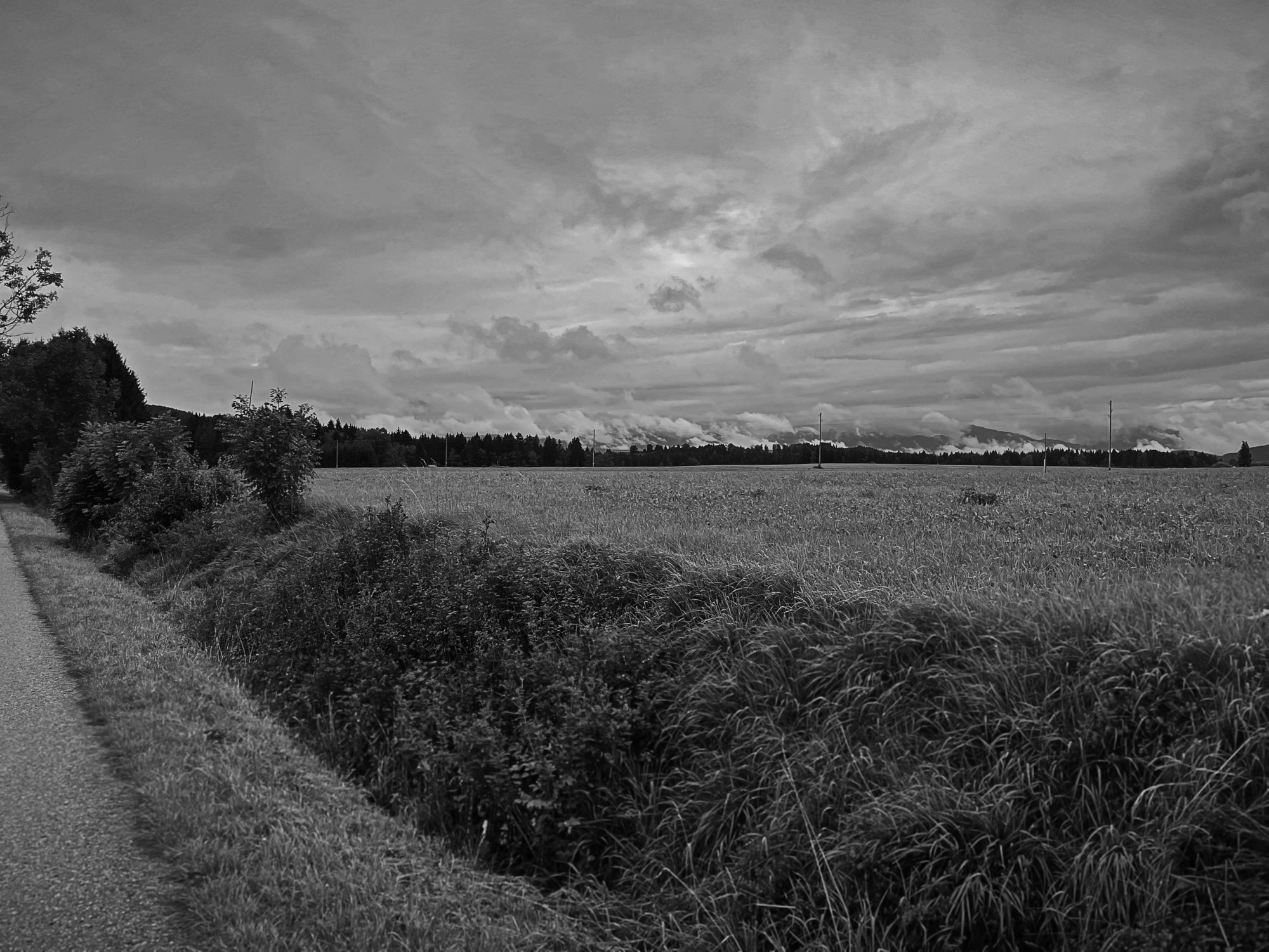 IMG_0976.jpeg