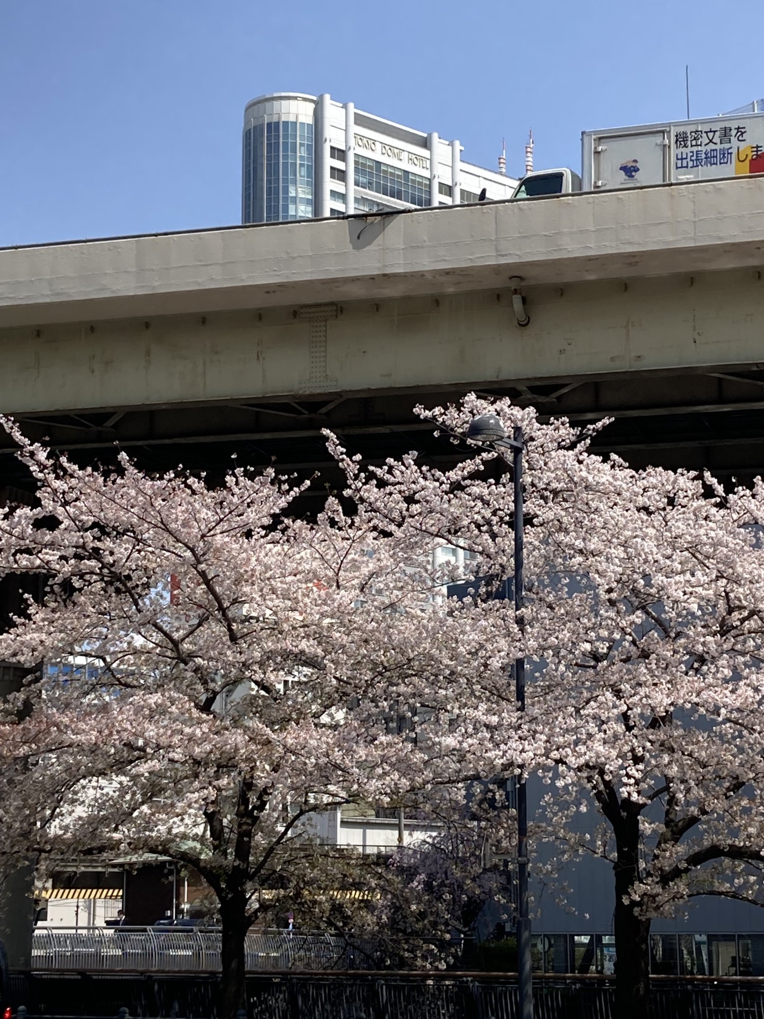 IMG_0987.jpeg