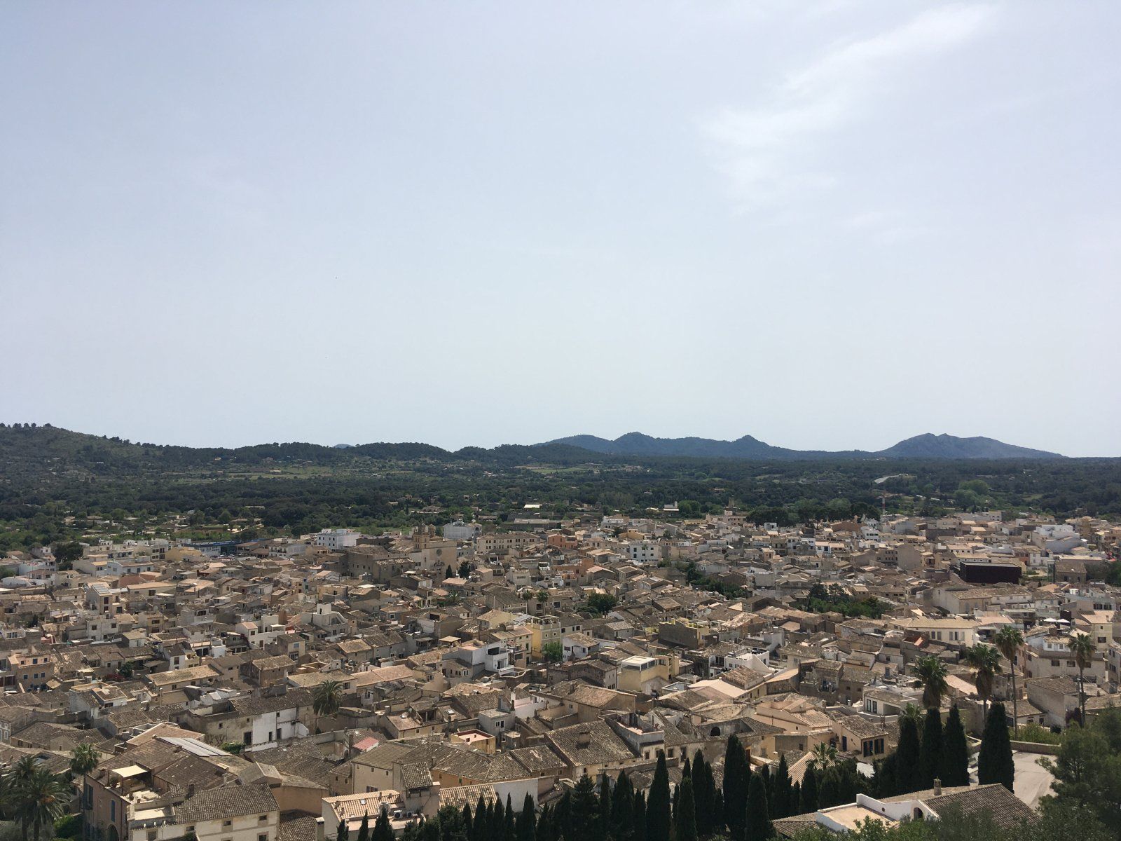 IMG_1004.jpeg