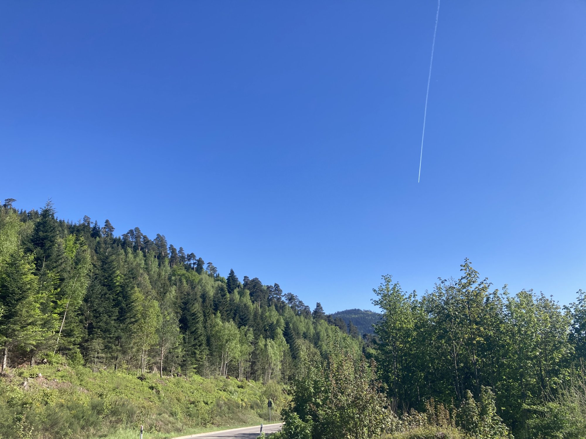 IMG_1046.jpeg