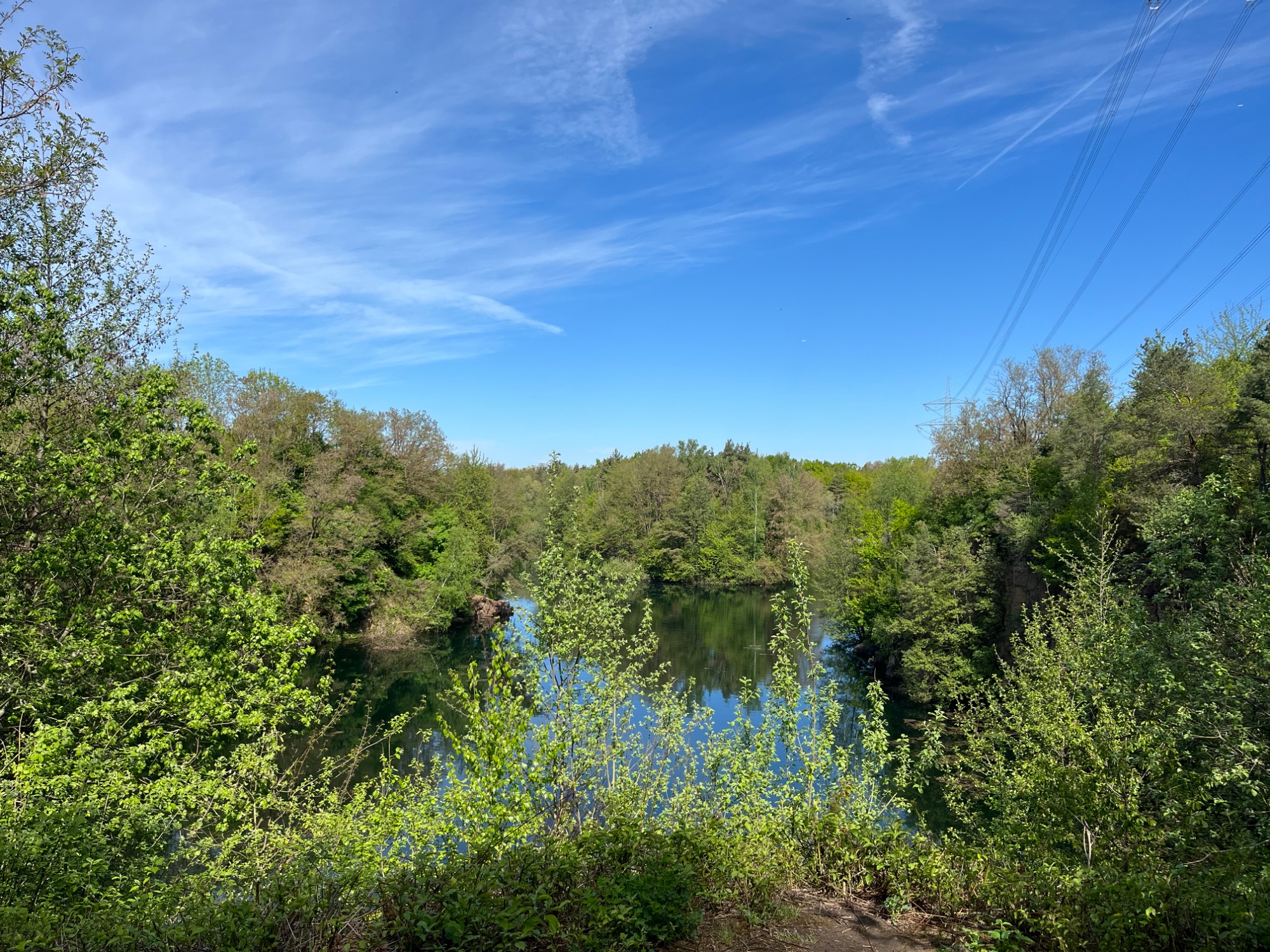 IMG_1062.jpeg