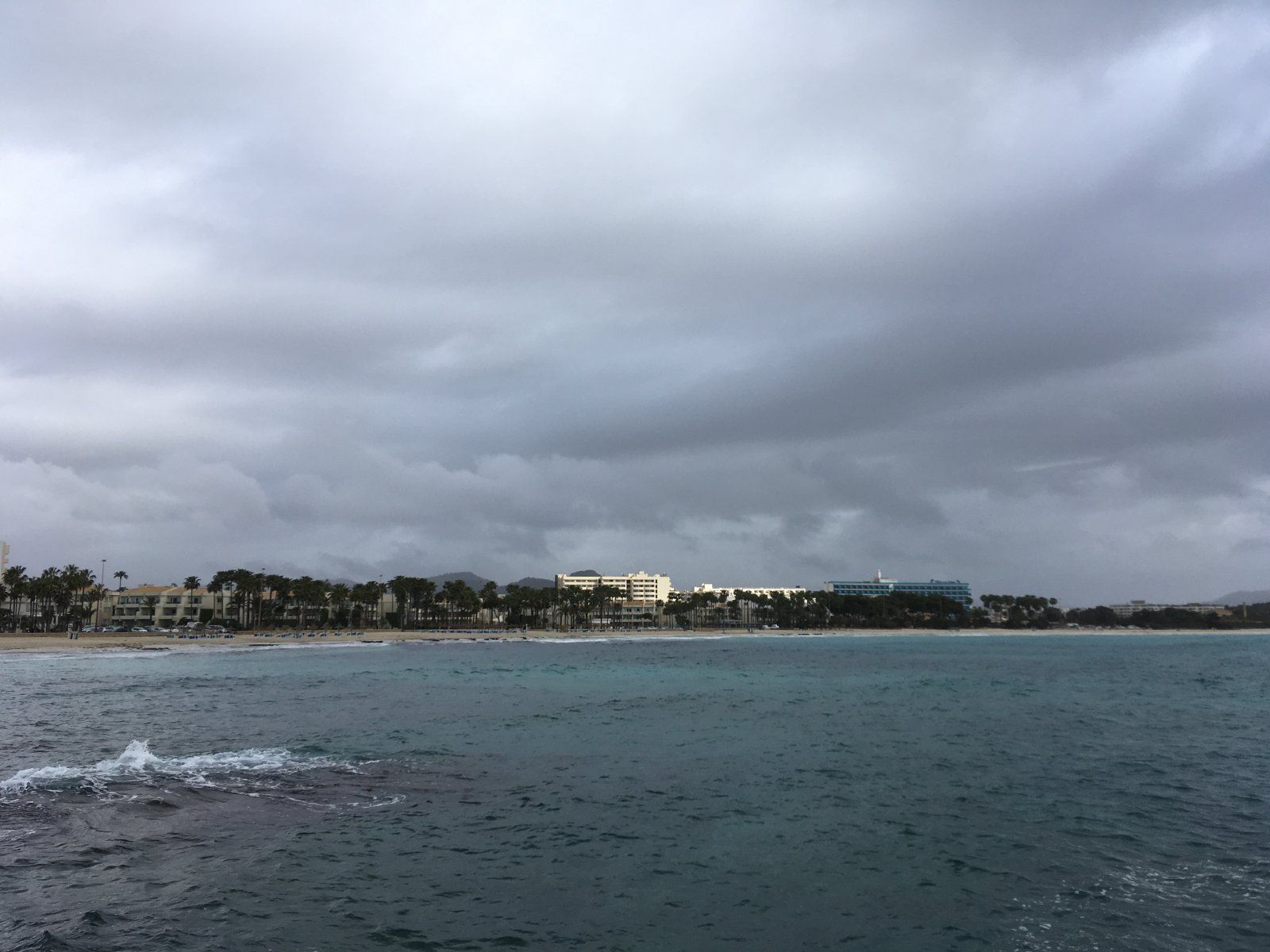 IMG_1125.jpeg