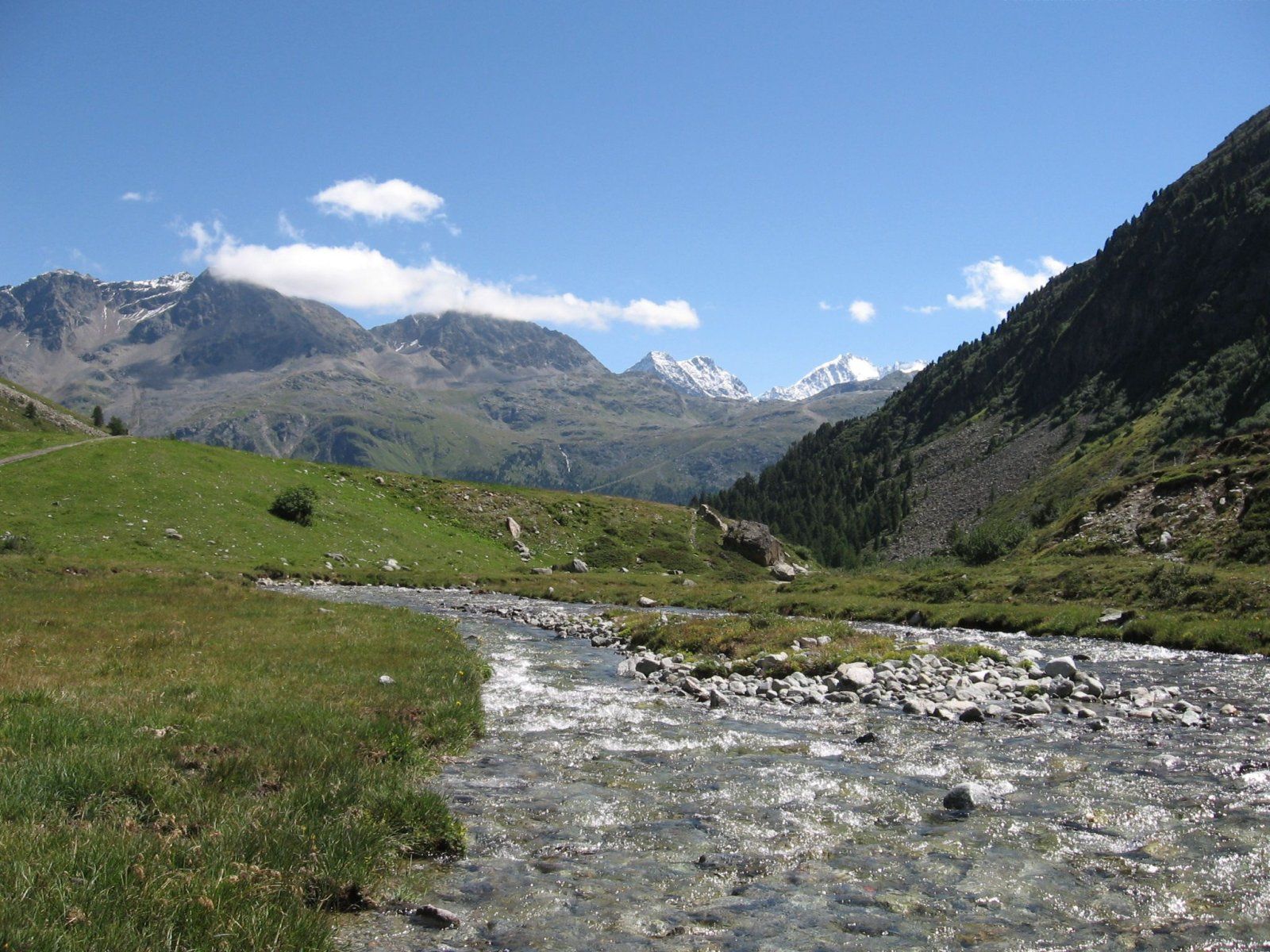 IMG_1200.jpg