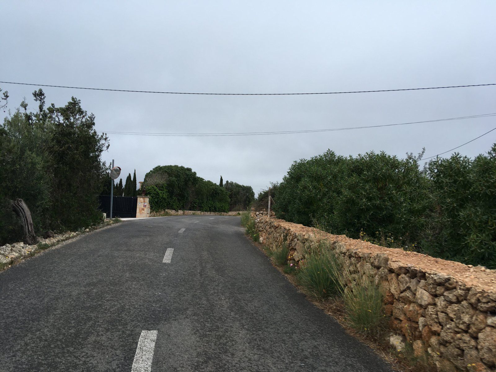 IMG_1204.jpeg