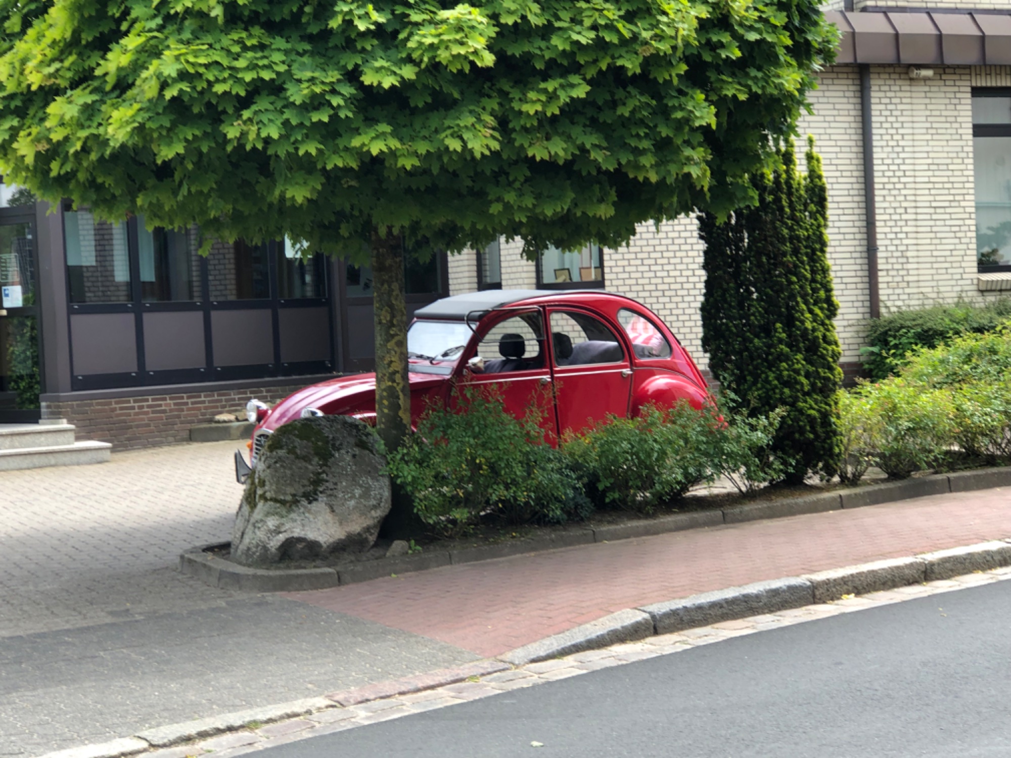 IMG_1381.jpeg