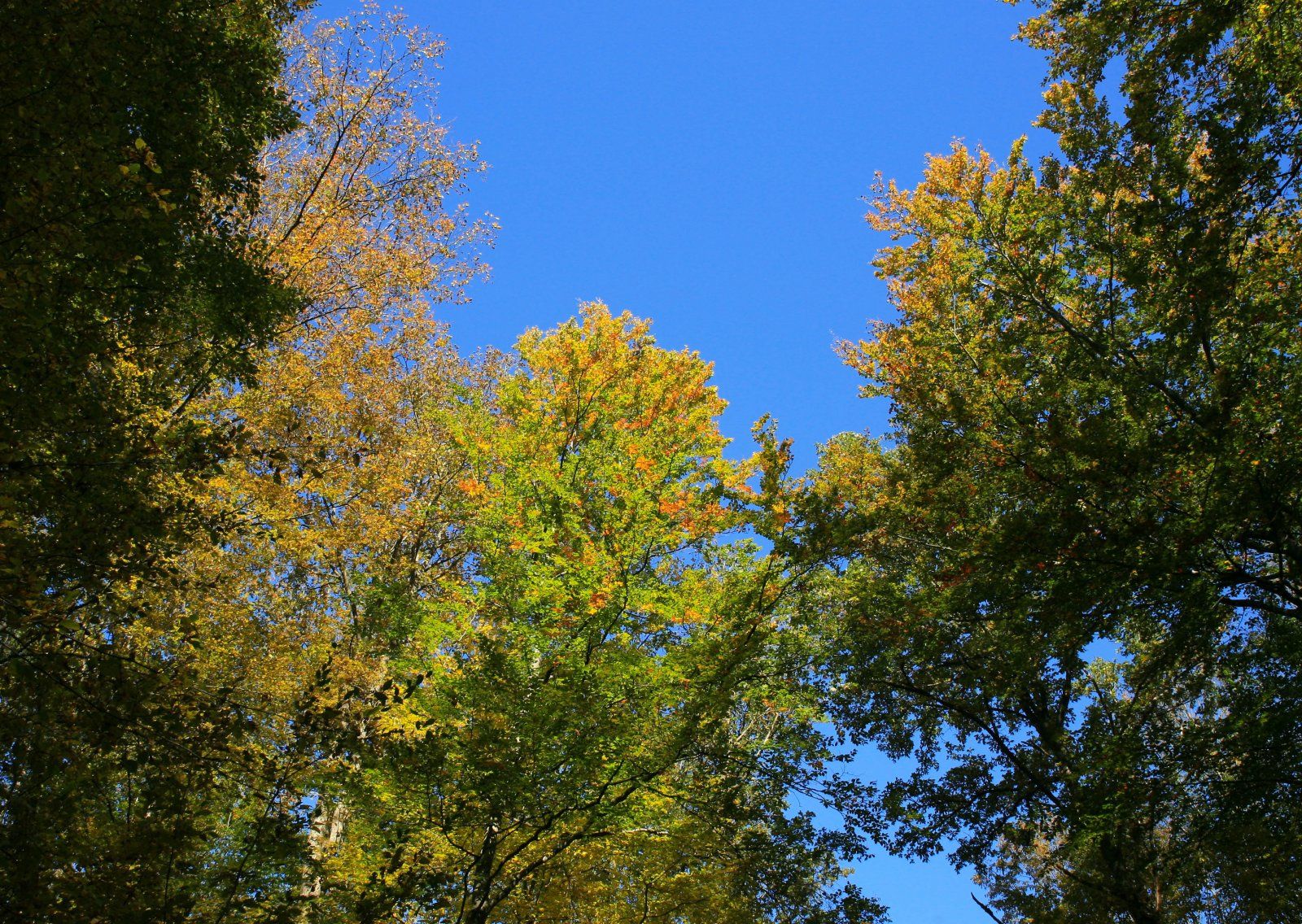 IMG_1430.jpg