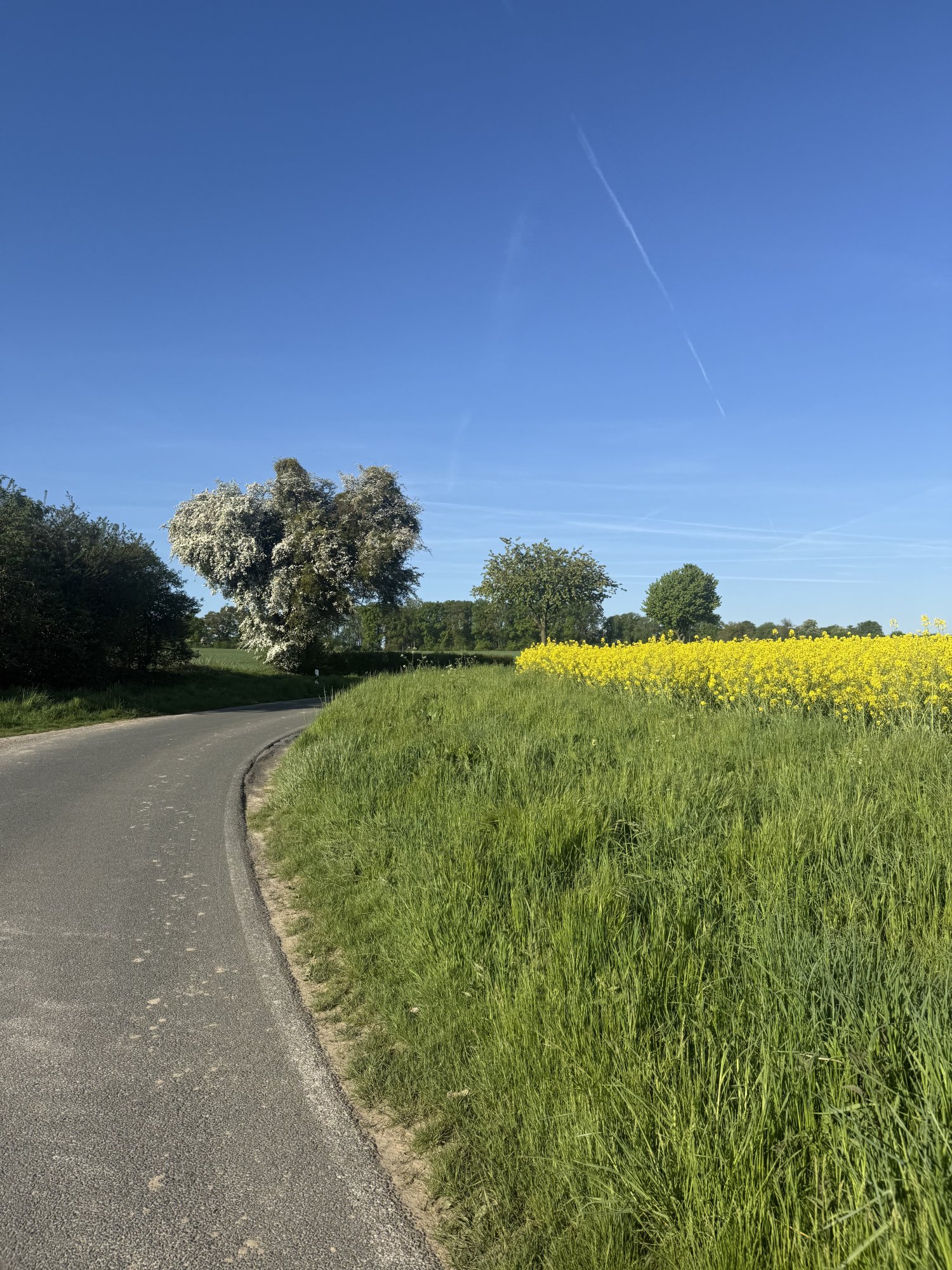 IMG_1458.jpeg