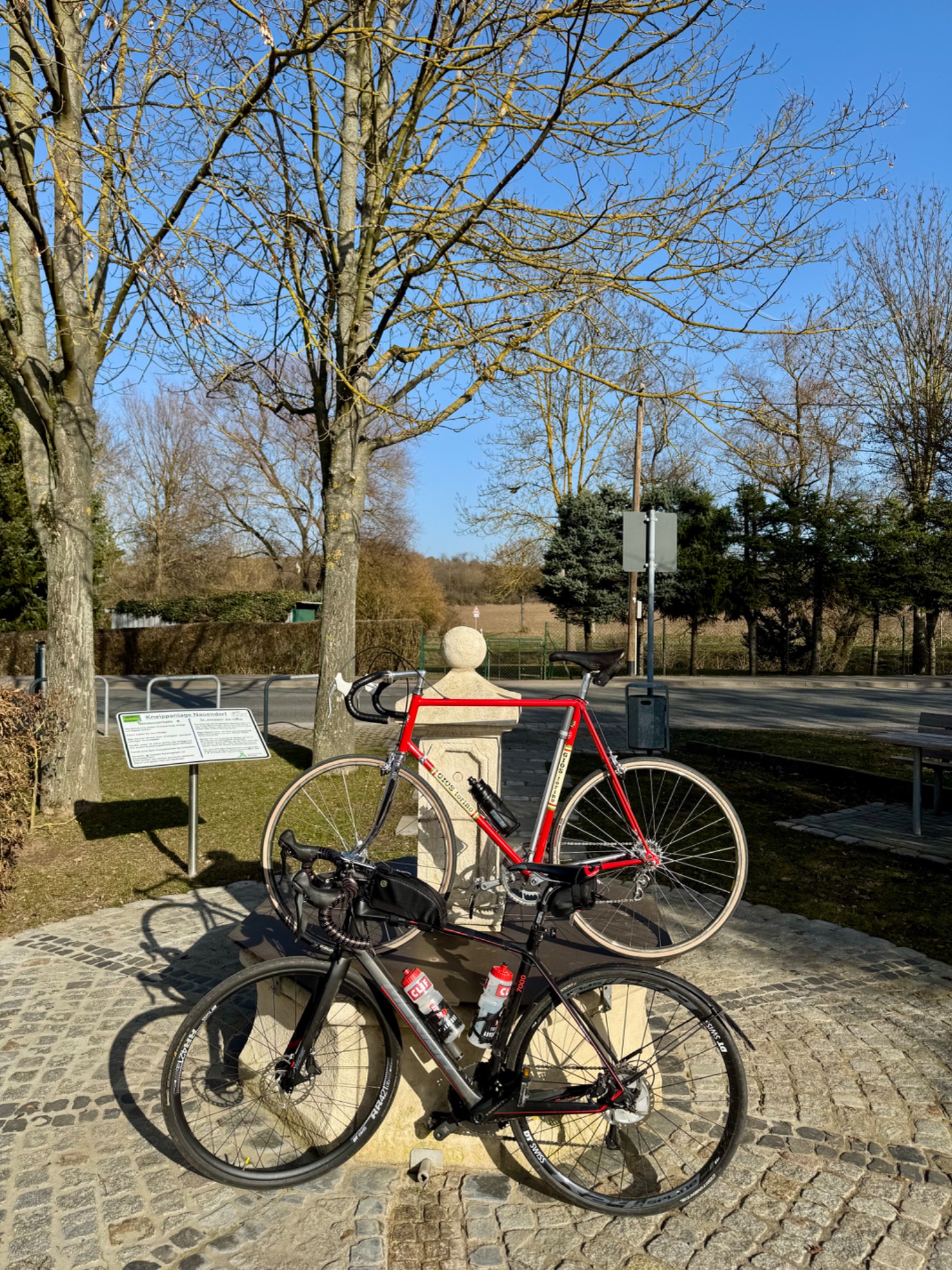 IMG_1603.jpeg