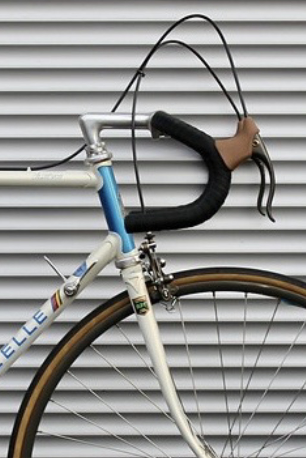 IMG_1661.jpeg