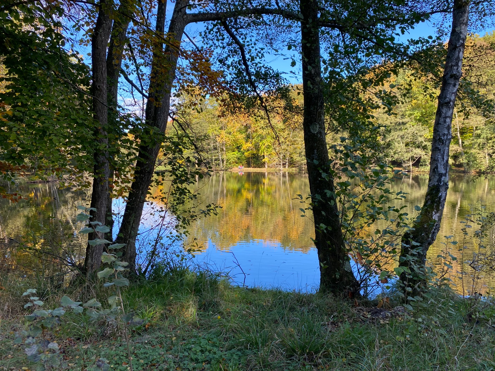 IMG_1696.jpeg