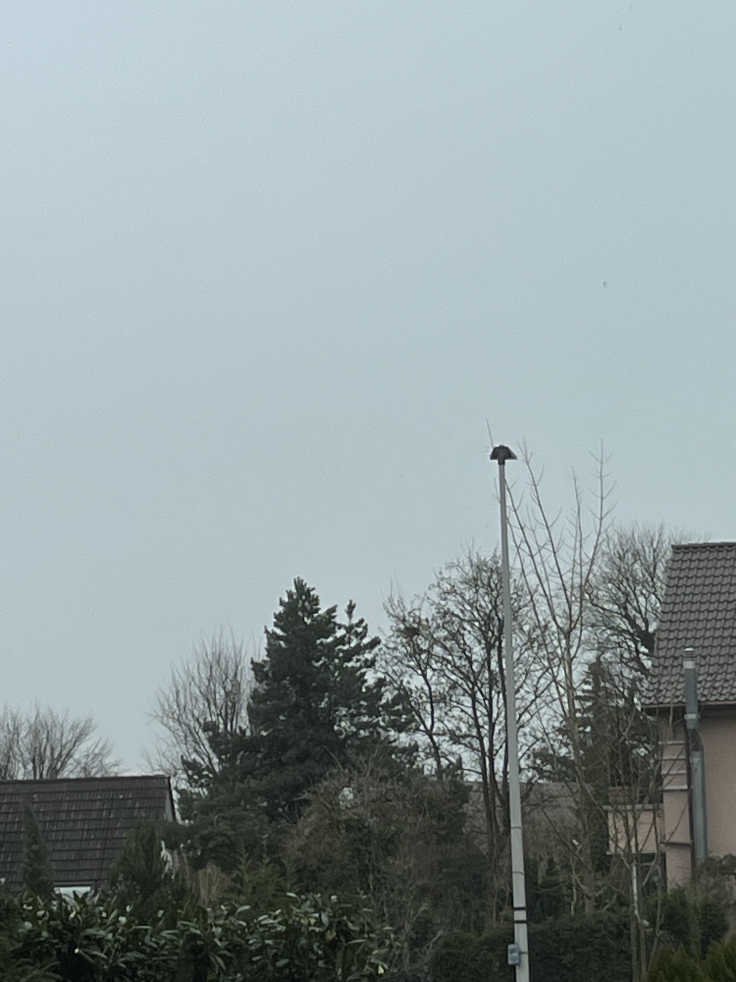 IMG_1749.jpeg