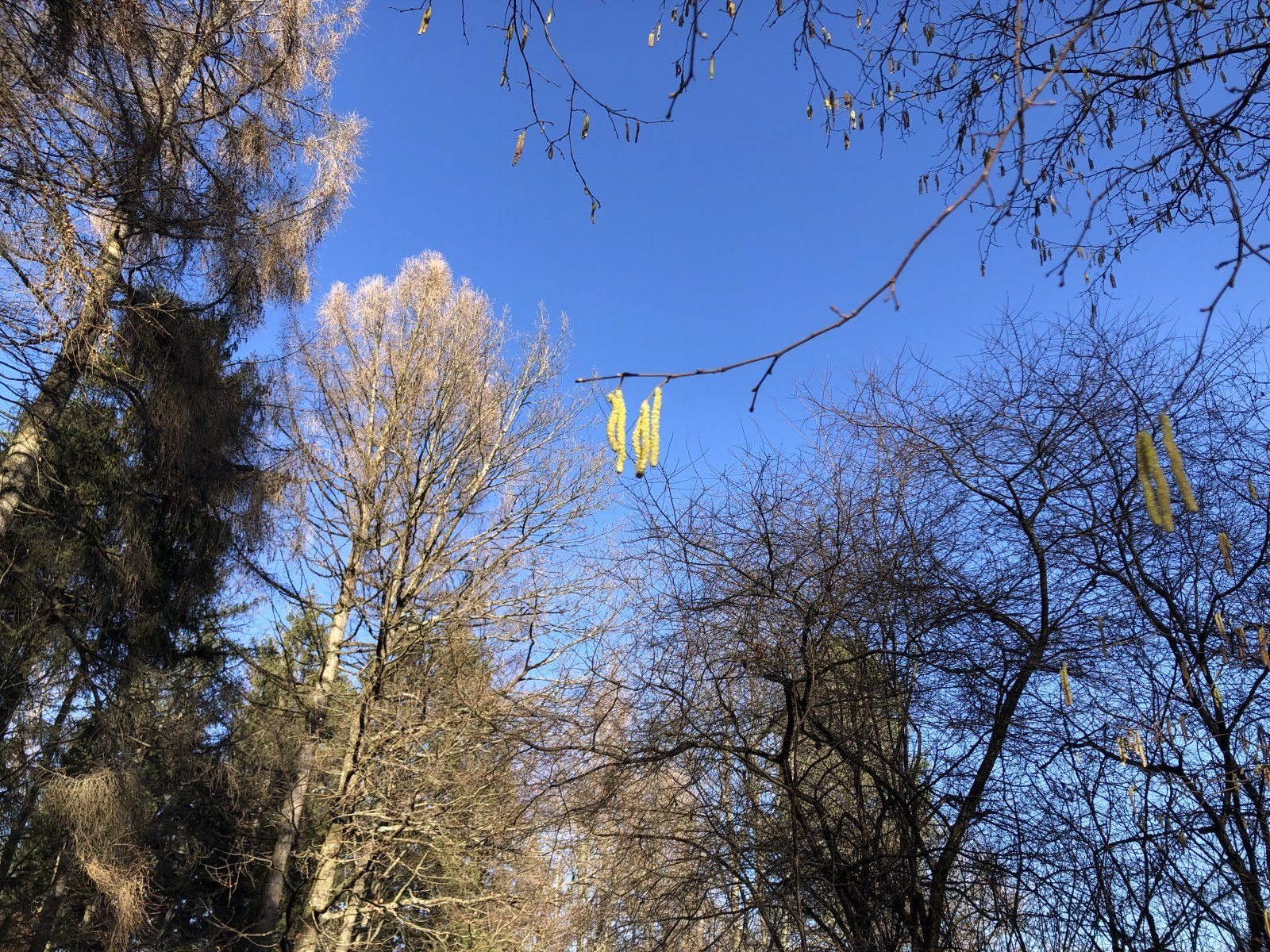 IMG_1865.jpeg