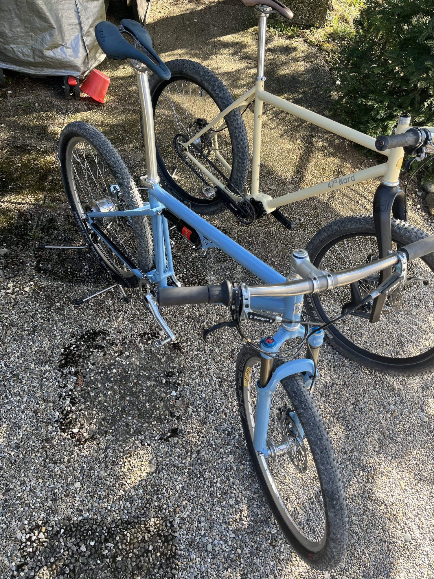 IMG_1962.jpeg