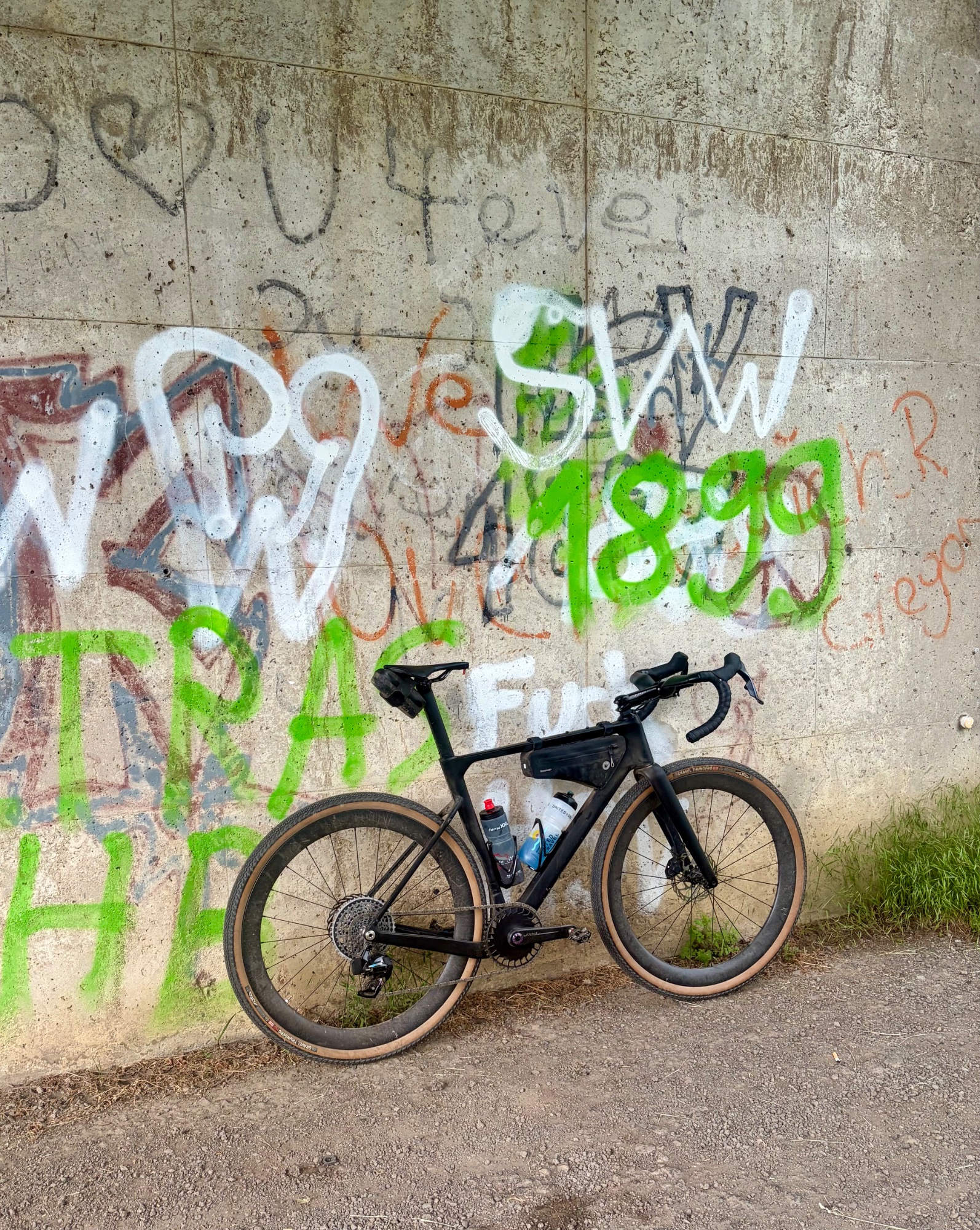 IMG_2014.jpeg