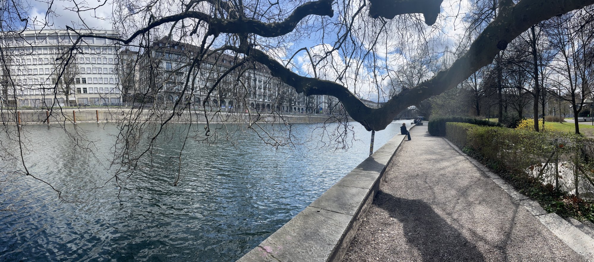 IMG_2017.jpeg