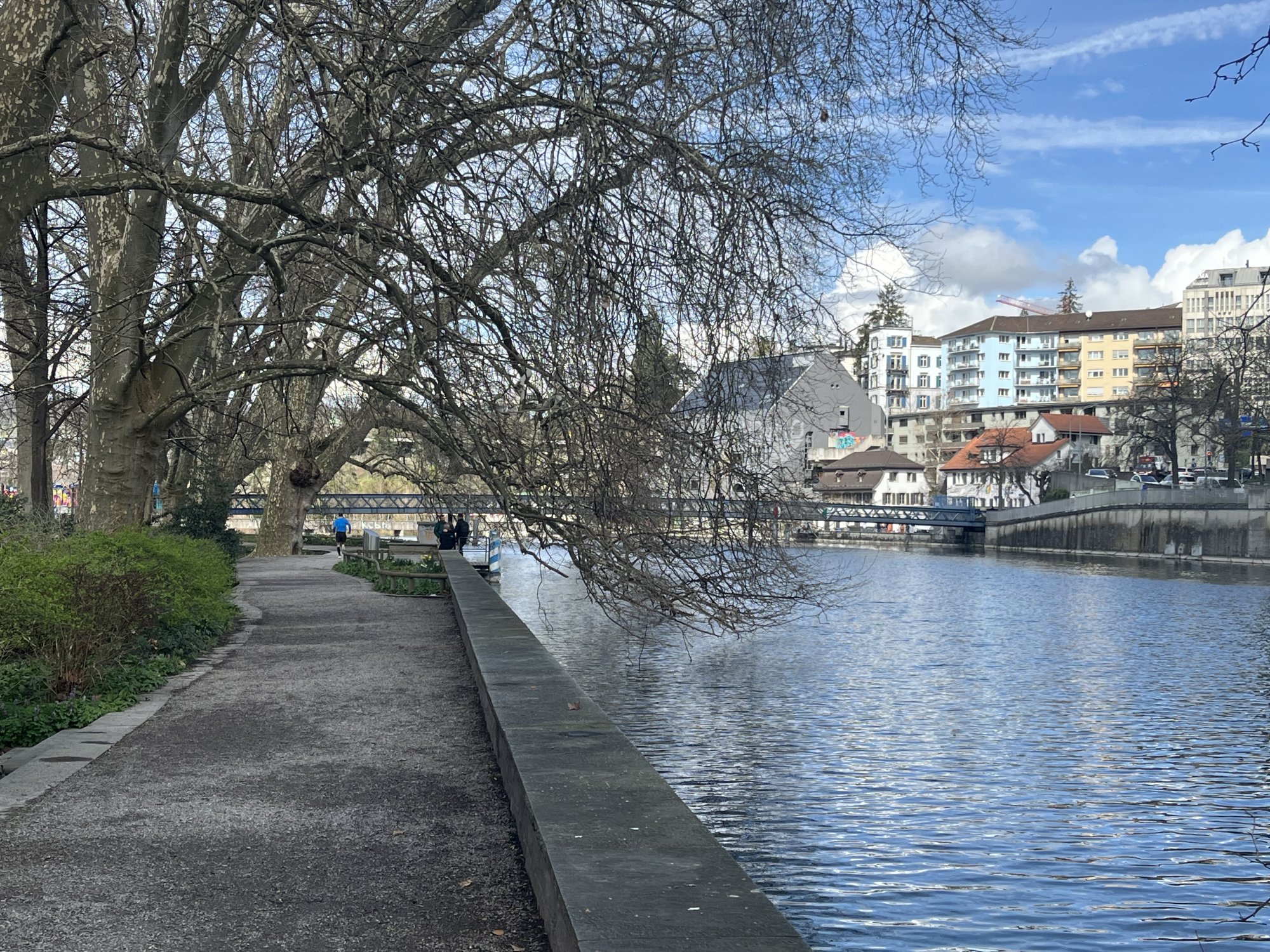 IMG_2019.jpeg