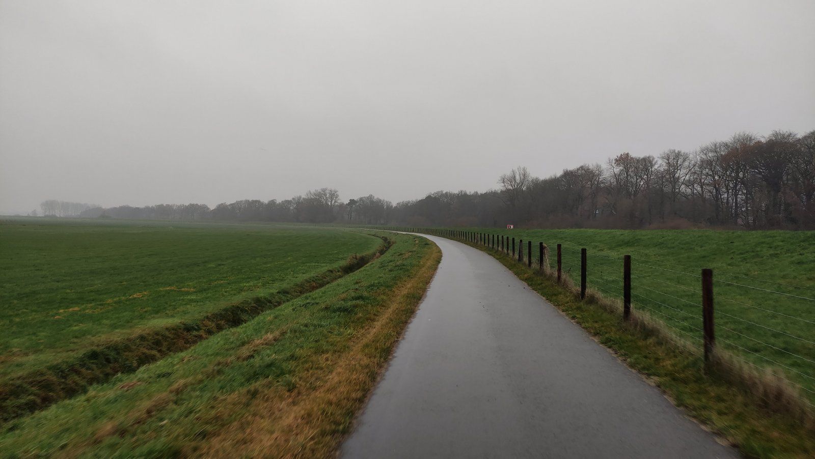 IMG_20201206_112639.jpg