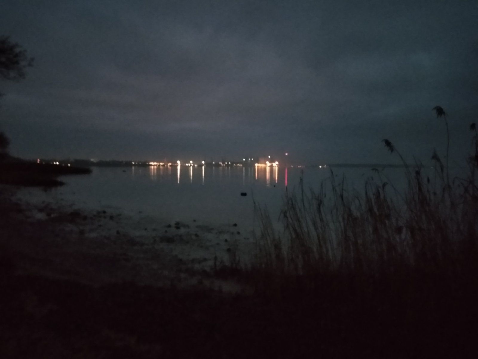 IMG_20201216_073809332.jpg