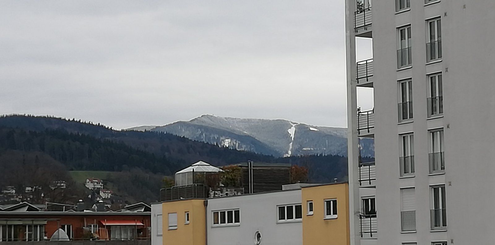 IMG_20210321_082922.jpg