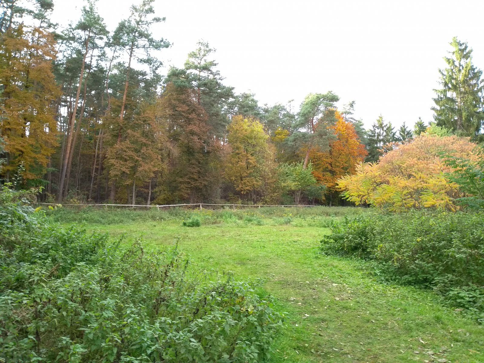 IMG_20211026_164201908.jpg