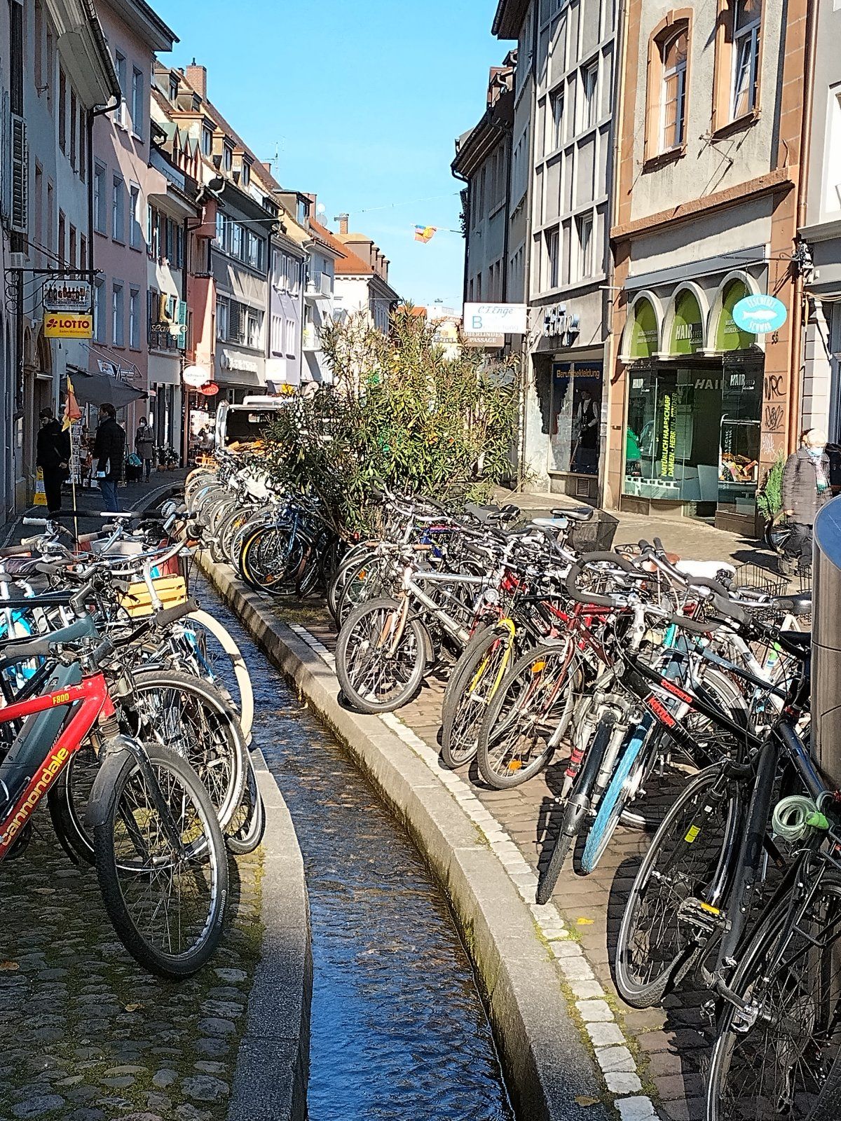 IMG_20211109_122403_HDR.jpg