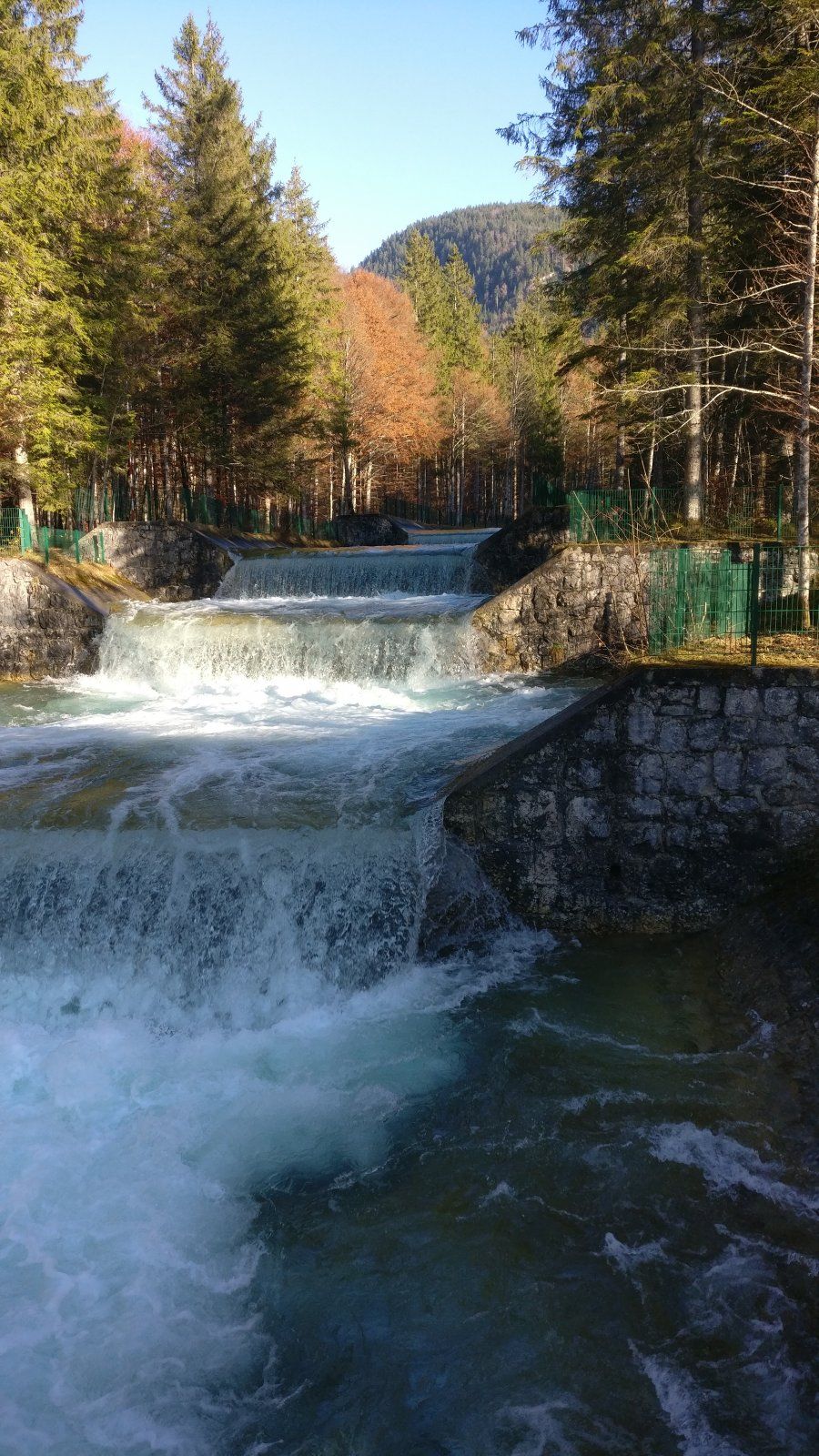 IMG_20211112_144810.jpg