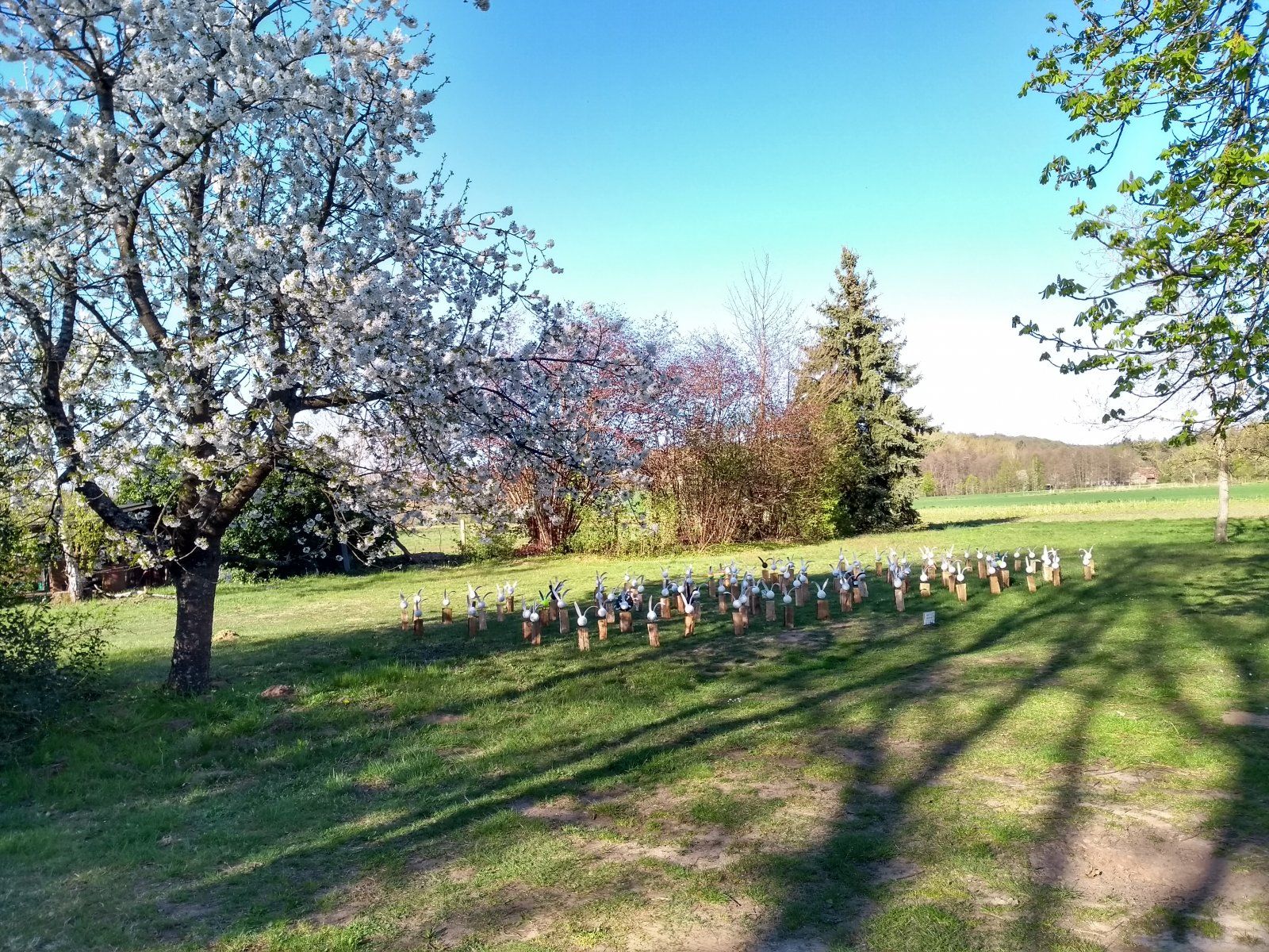 IMG_20220416_175533788_HDR.jpg