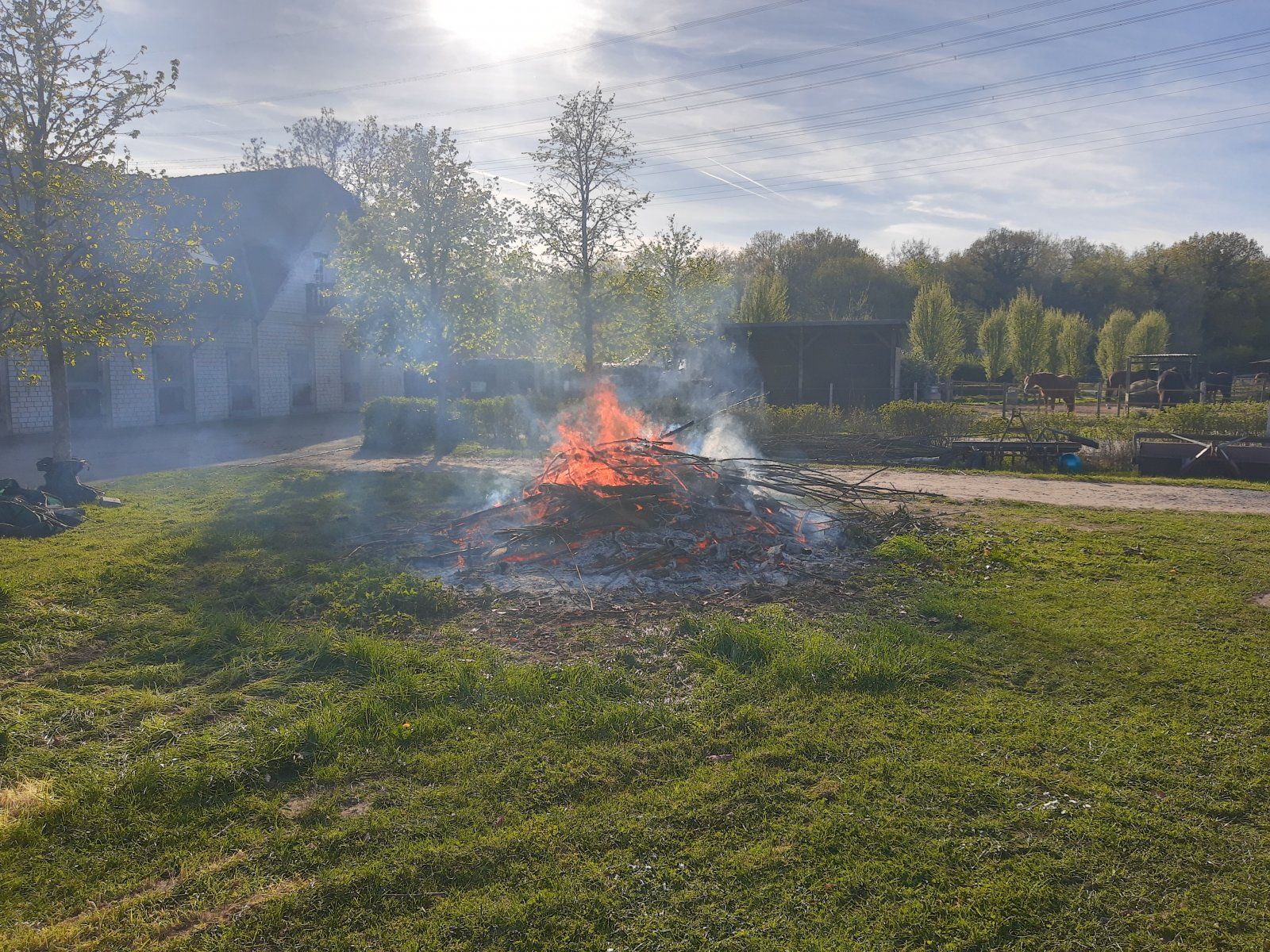 IMG_20220416_181431553_HDR.jpg